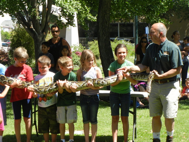 How many kids does it take to hold a Burmese Python?